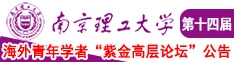 高C操逼网站视频南京理工大学第十四届海外青年学者紫金论坛诚邀海内外英才！